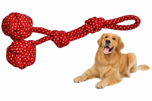 Golden Retriever and Tug Toy