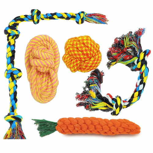 Knot, Slipper, Carrot Dog Chew Set